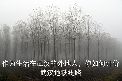 武漢地鐵春運怎么樣,怎樣去評價武漢地鐵