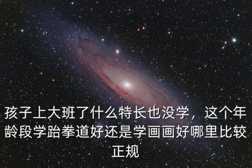 孩子上大班了什么特長也沒學，這個年齡段學跆拳道好還是學畫畫好哪里比較正規