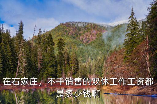 石家莊恒大房產銷售底薪多少錢,在石家莊月收入多少可以買房