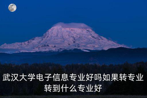 湖北大學(xué)電子專業(yè)怎么樣,武漢大學(xué)電子信息專業(yè)好嗎