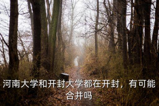 河南大學和開封大學都在開封，有可能合并嗎