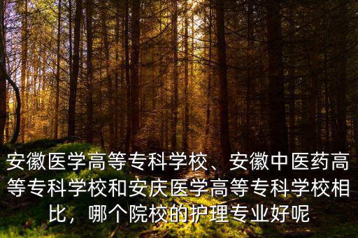 安徽醫學高等?？茖W校、安徽中醫藥高等專科學校和安慶醫學高等?？茖W校相比，哪個院校的護理專業好呢