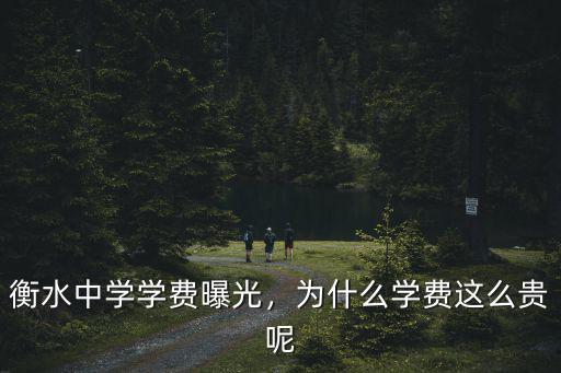 衡水中學本地生一年學費多少,衡水中學學費曝光