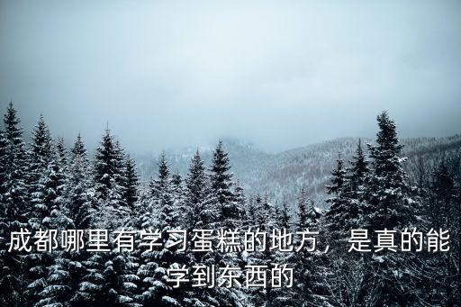 成都哪里蛋糕店招學徒的有沒有,成都哪里有學習蛋糕的地方