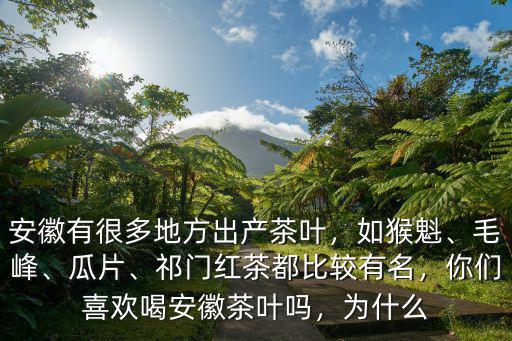 安徽有多少茶葉特產(chǎn)價位,安徽有很多地方出產(chǎn)茶葉