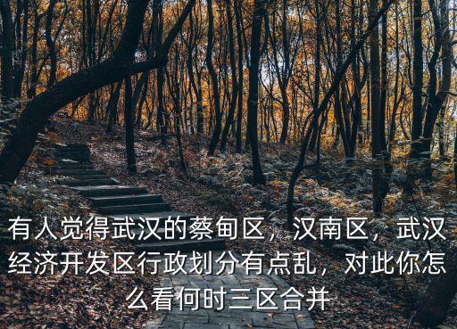 武漢怎么劃區的,對此武漢人是怎么想的