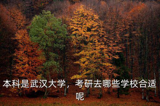 本科是武漢大學，考研去哪些學校合適呢