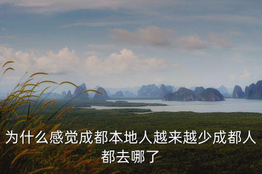 江疏影成都哪里人,諸葛亮到底是哪里人呢