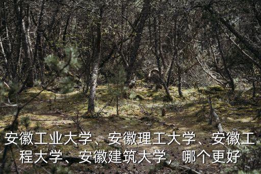 安徽工業(yè)大學、安徽理工大學、安徽工程大學、安徽建筑大學，哪個更好