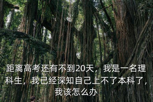 安徽距離高考還有多少天,距離高考還有不到20天