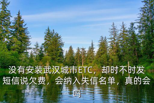 沒有安裝武漢城市ETC，卻時不時發短信說欠費，會納入失信名單，真的會嗎