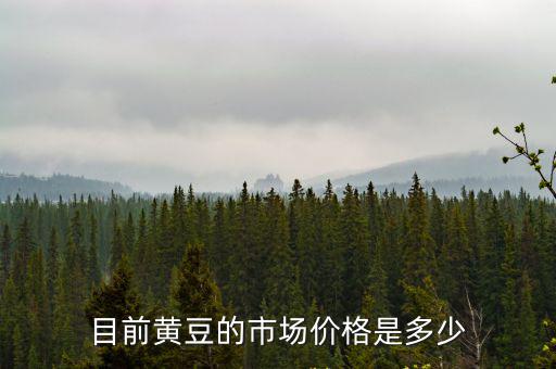 石家莊黃豆市場價格是多少,目前黃豆的市場價格是多少