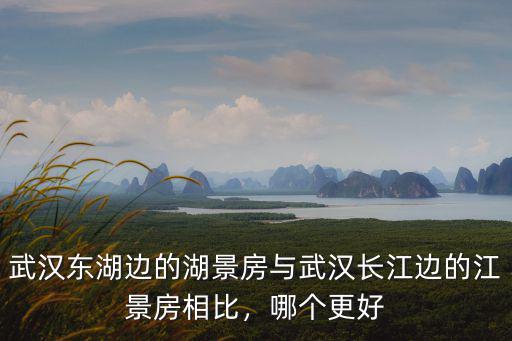 武漢長江邊房子怎么樣,武漢青山區的房子怎么樣