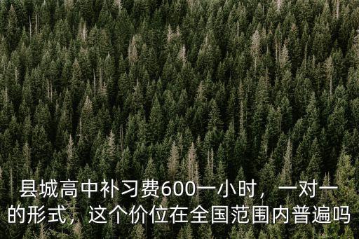 邢臺高中一對一費用多少,高中補課多少錢一小時合理