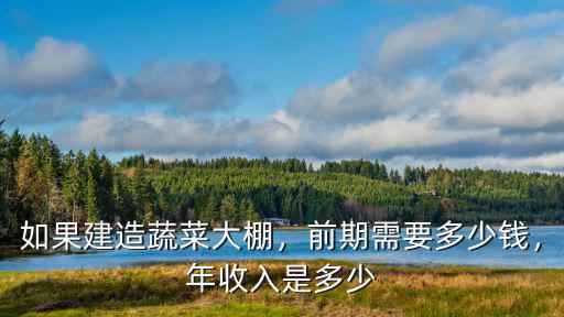 銅陵一個蔬菜大棚多少錢,如果建造蔬菜大棚