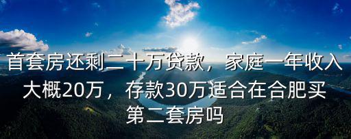 首套房還剩二十萬貸款，家庭一年收入大概20萬，存款30萬適合在合肥買第二套房嗎