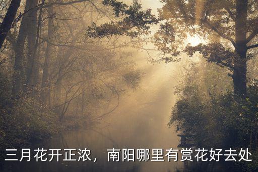 南陽哪里有花展,南陽哪里有賞花好去處