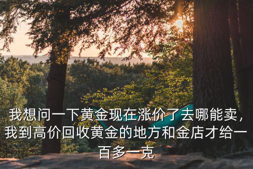 樂山在哪里去回收黃金,黃金去哪里能變現呢