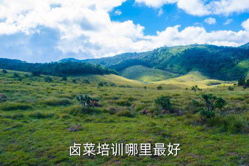 鹵菜培訓哪里最好