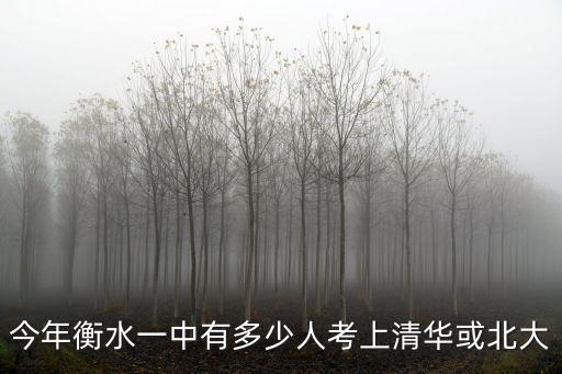 今年衡水一中有多少人考上清華或北大