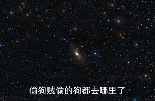 偷狗賊偷的狗都去哪里了