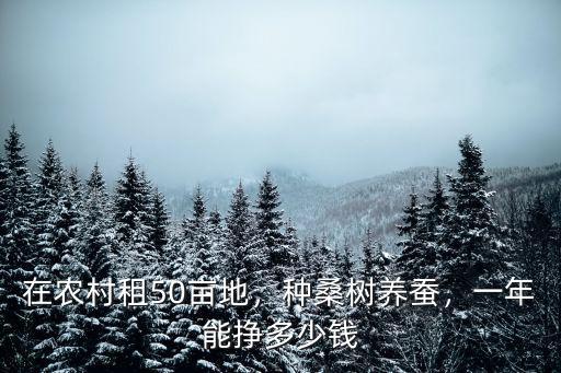 衡水周邊租50畝土地要多少錢,一年能掙多少錢