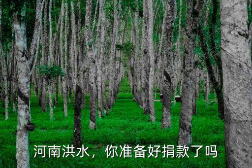 河南洪水鄭州少林寺捐了多少,河南水災少林寺捐款了嗎