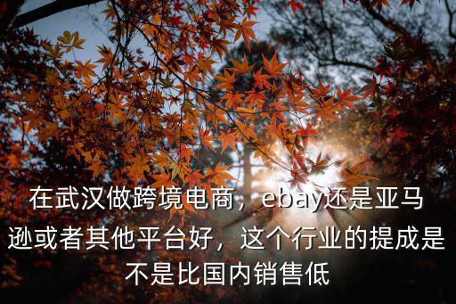 武漢跨境電商公司的薪資待遇怎么樣,在武漢做跨境電商