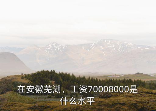 在安徽蕪湖，工資70008000是什么水平