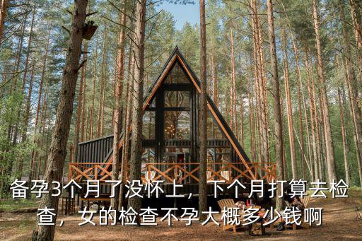 備孕3個月了沒懷上，下個月打算去檢查，女的檢查不孕大概多少錢啊