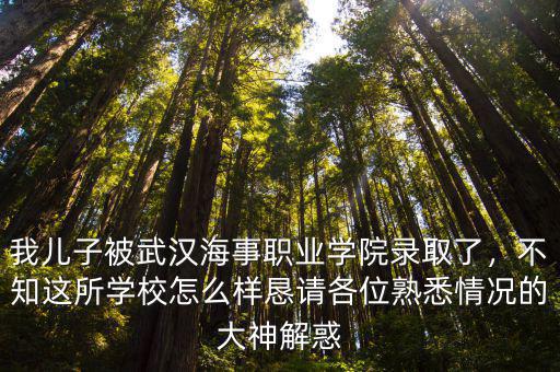 武漢黃陂的男孩怎么樣,你認識的武漢人是怎么樣的
