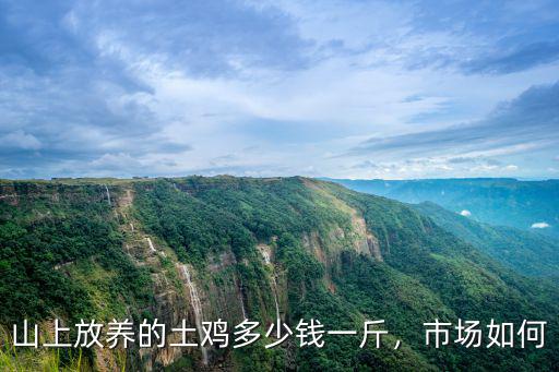 亳州雞場的活雞多少錢一斤,現在的活雞多少錢一斤