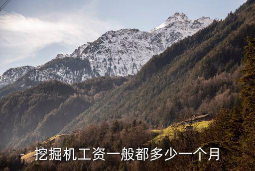 阜陽挖掘機工資一般多少,挖掘機工資一般都多少一個月