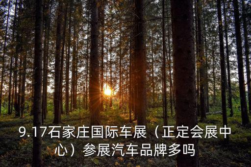 石家莊會(huì)展中心車展門票多少錢,2021石家莊車展