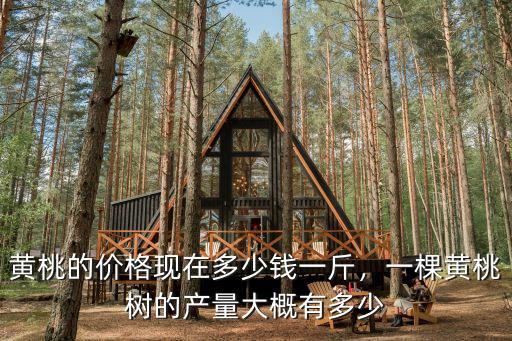 河北黃桃多少錢一斤,黃桃的價格現在多少錢一斤