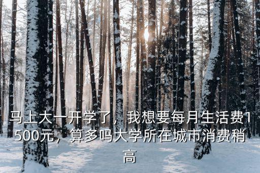 馬上大一開學了，我想要每月生活費1500元，算多嗎大學所在城市消費稍高