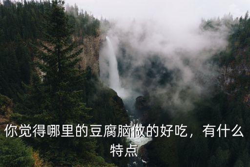 你覺得哪里的豆腐腦做的好吃，有什么特點