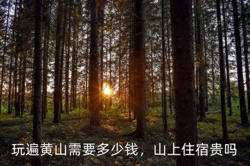 黃山一年凈賺多少錢,玩遍黃山需要多少錢