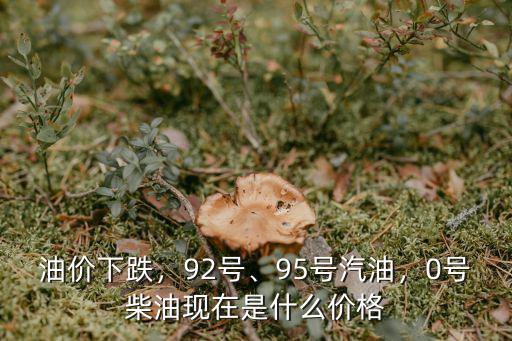 油價下跌，92號、95號汽油，0號柴油現在是什么價格
