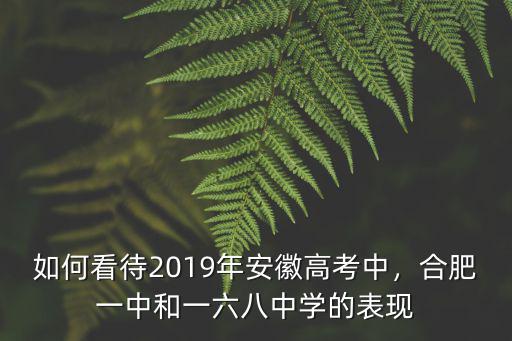 如何看待2019年安徽高考中，合肥一中和一六八中學的表現