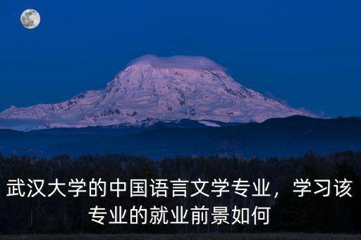 武漢大學(xué)小語種就業(yè)怎么樣,你覺得怎么樣