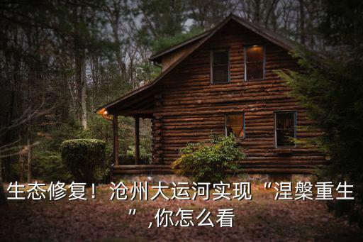 生態修復！滄州大運河實現“涅槃重生”,你怎么看