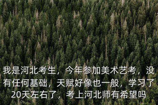 我是河北考生，今年參加美術藝考，沒有任何基礎，天賦好像也一般，學習了20天左右了，考上河北師有希望嗎