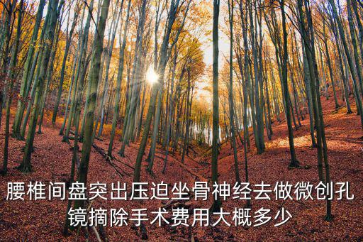 腰椎間盤突出壓迫坐骨神經去做微創孔鏡摘除手術費用大概多少