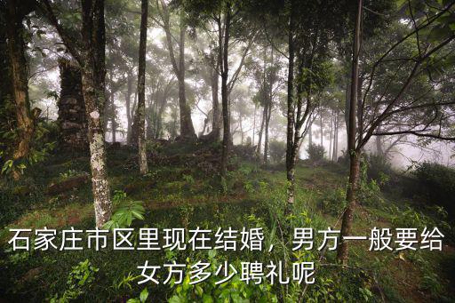 石家莊結婚份子錢一般給多少,鄰居們一般隨多少錢的份子錢