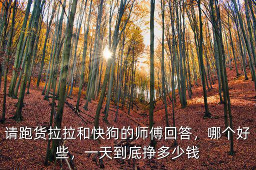 武漢的貨拉拉收入怎么樣,貨拉拉遍地開花