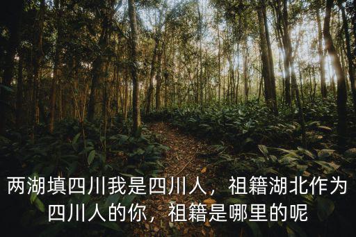 寧軻是四川哪里人,兩湖填四川。我是四川人