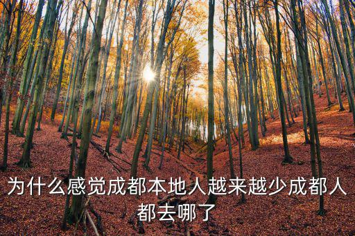胡兵成都哪里人,成都人都去哪了