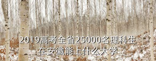 2019高考全省25000名理科生在安徽能上什么大學