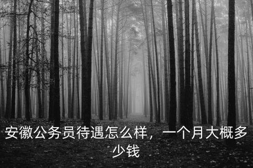 合肥剛上班的公務(wù)員工資多少錢(qián)一個(gè)月,一個(gè)月大概多少錢(qián)